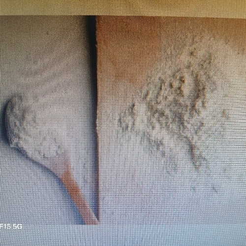 Glycine powder manufacturer