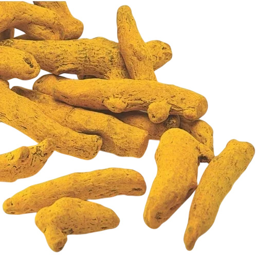 Yellow Erode Turmeric Finger