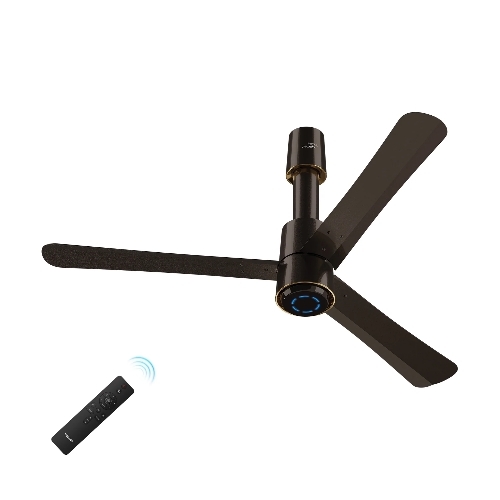 BLDC Fan