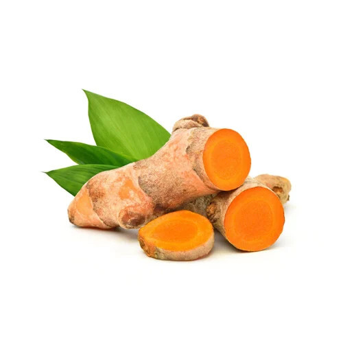 Dry Turmeric Finger