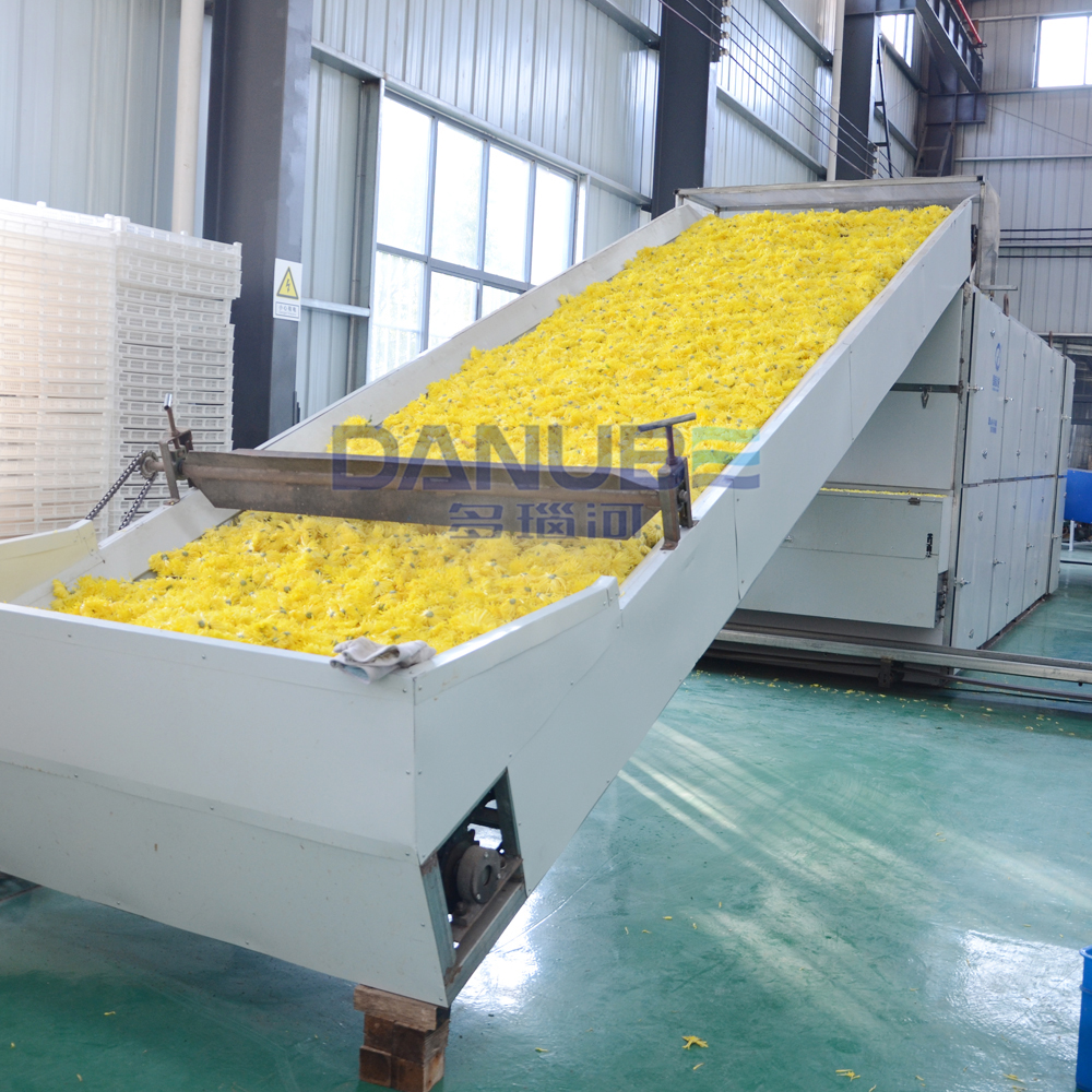 Golden Chrysanthemum Drying Machine Mesh Belt Dryer Chrysanthemum Dehydration Processing Equipment - Color: Customized