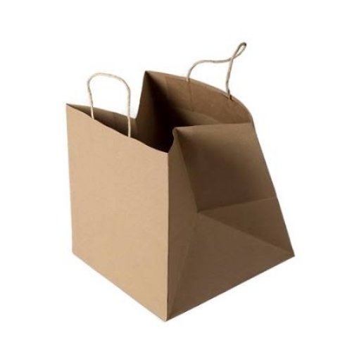 Plain Paper Bags