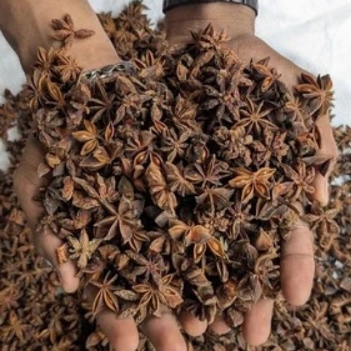 Star Anise