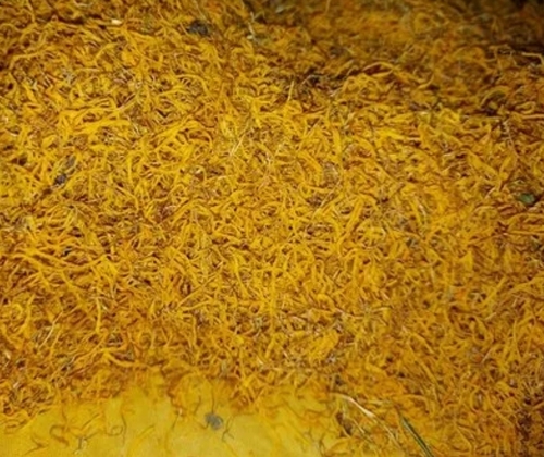 Yellow Saffron