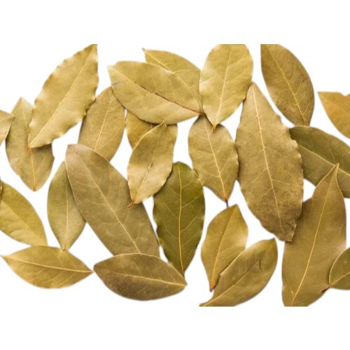 Indian Bay Leaf