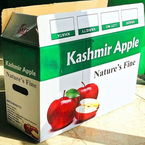 Kashmir Apple Corrugated Packaging Boxes