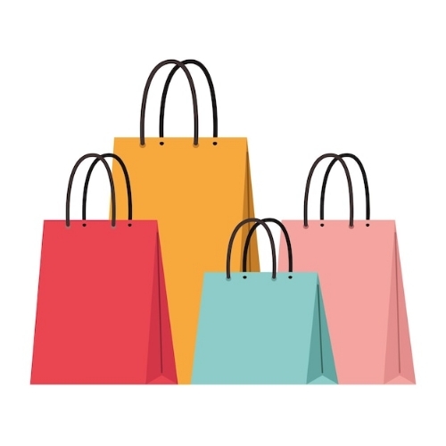 Paper Carry Bags By Paras Exports