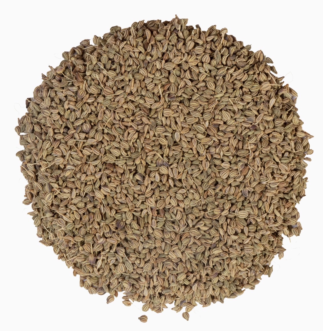 Bihar Desi Ajwain Seeds