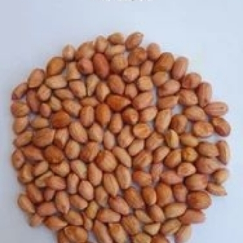 Groundnut Peanuts
