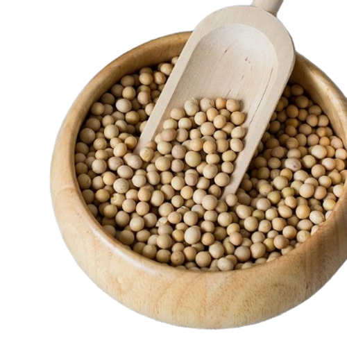 Soya Bean