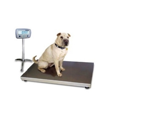 Animal Weighing Scale