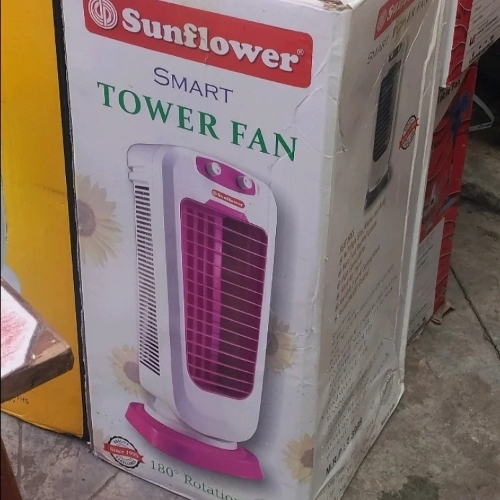 Electric fan