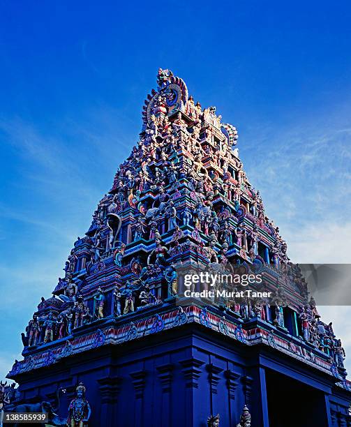 Sri Srinivasa Perumal Temple Tour Service