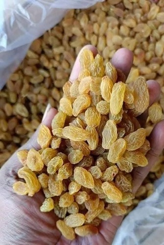 Brown Raisin - Grade: Na