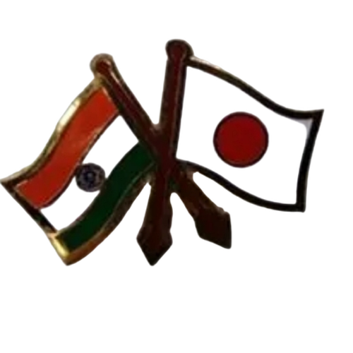 Double Flag Lapel Pin