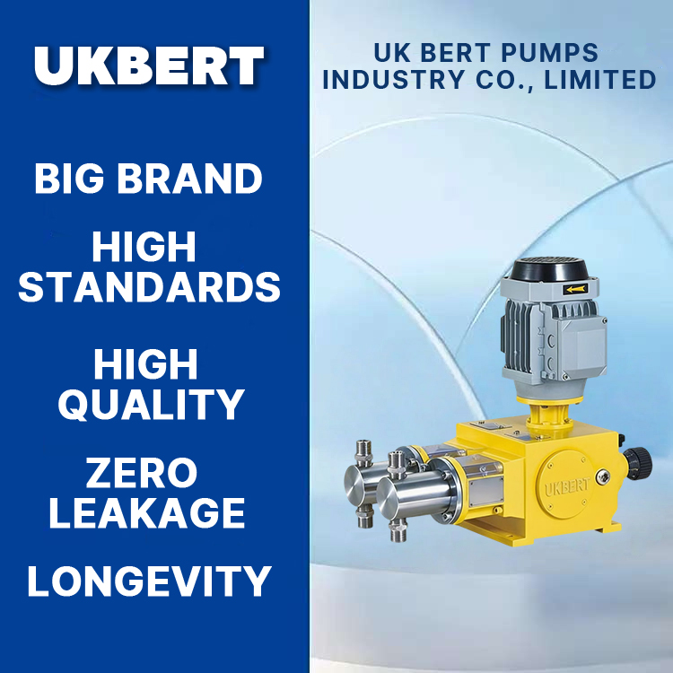 2KL-X Plunger Metering Pump