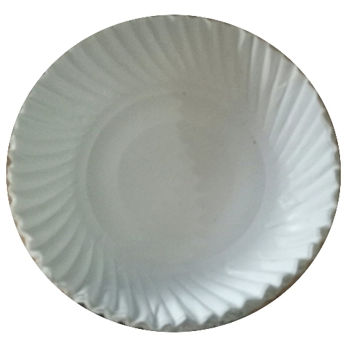 9 Inch Paper Plate