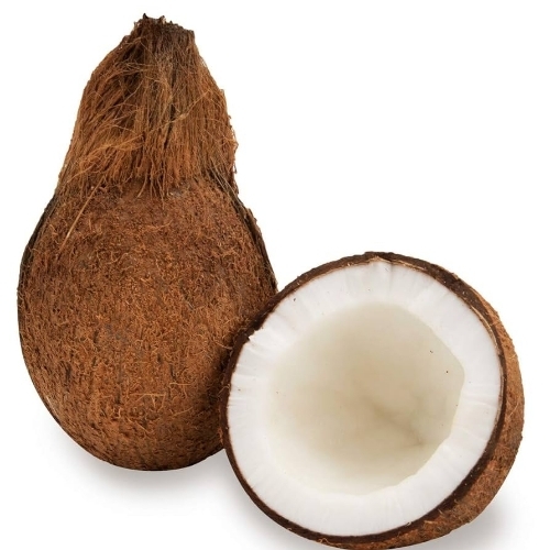 Coconut