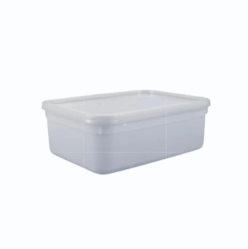Plastic Rectangular Container