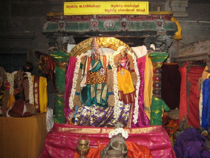 Sri Vadaranyeswarar Temple Tour Services