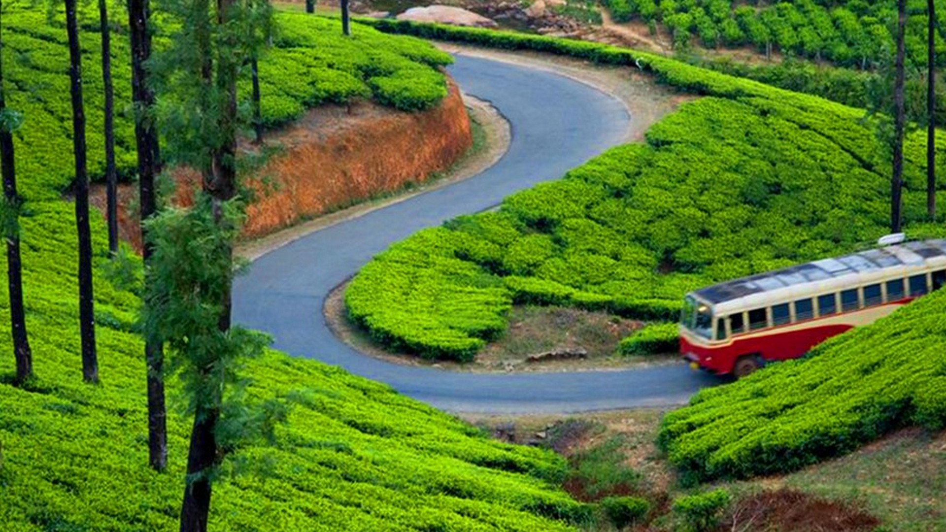 Theni Munnar Alleppey 3n 4d Tour Services