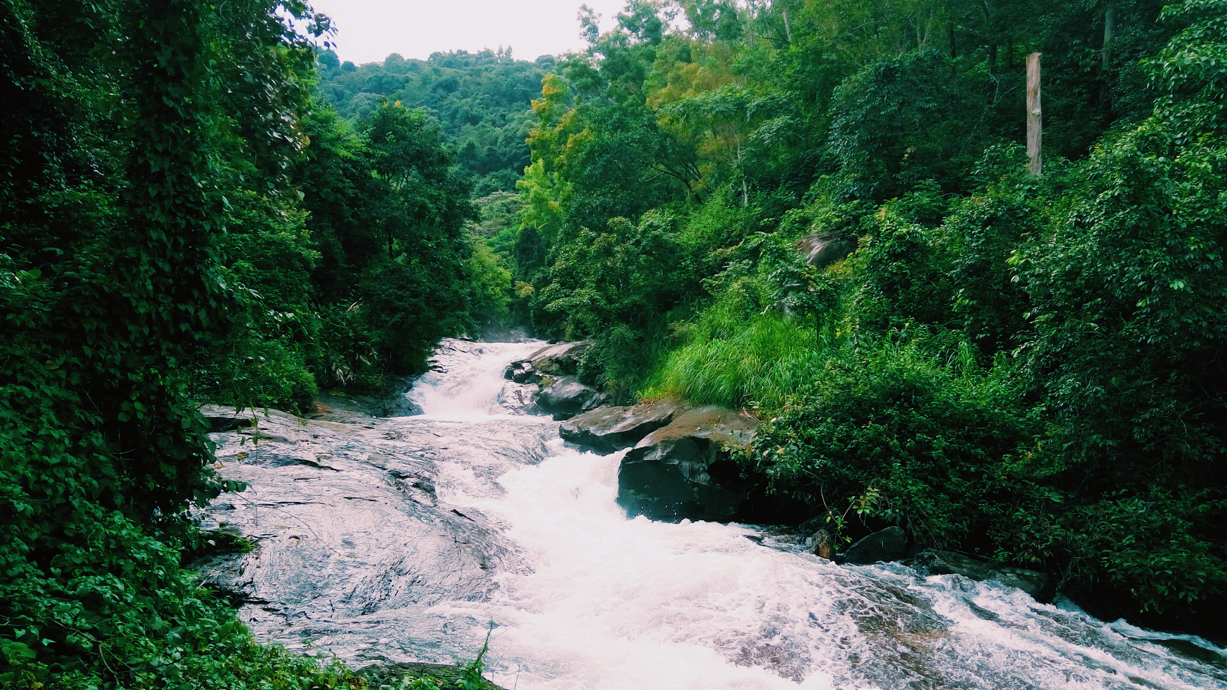 Wayanad 2n 3d Travel Services