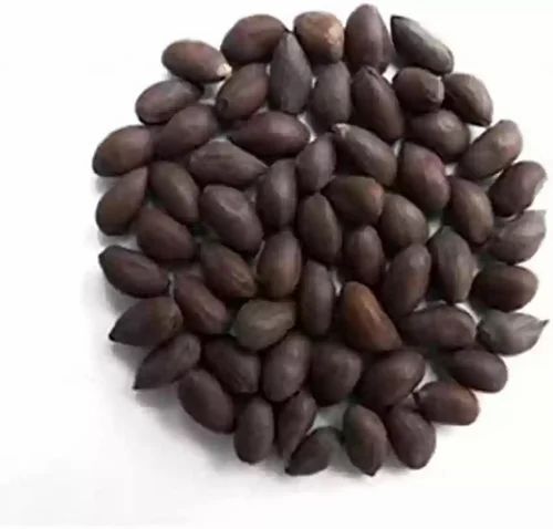 Dried Binaula Medicinal Seeds