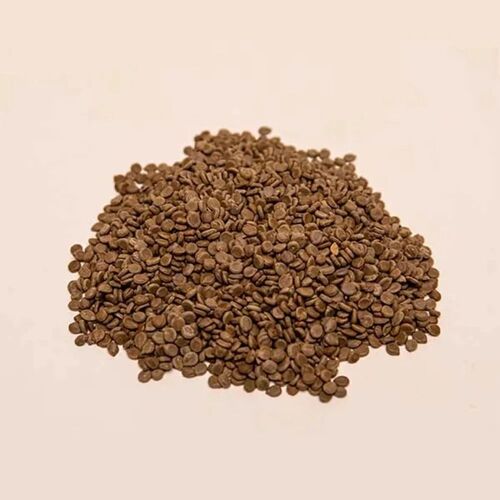 Dried Kasmard Medicinal Seeds
