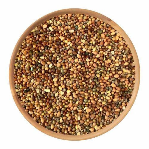 Dried Kasoos Medicinal Seeds