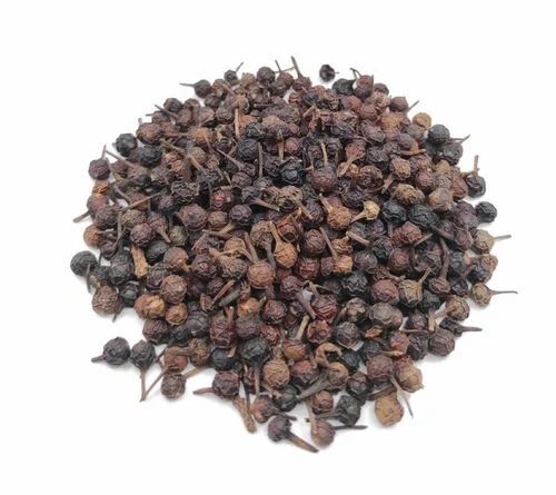 Dried Tomar Seeds