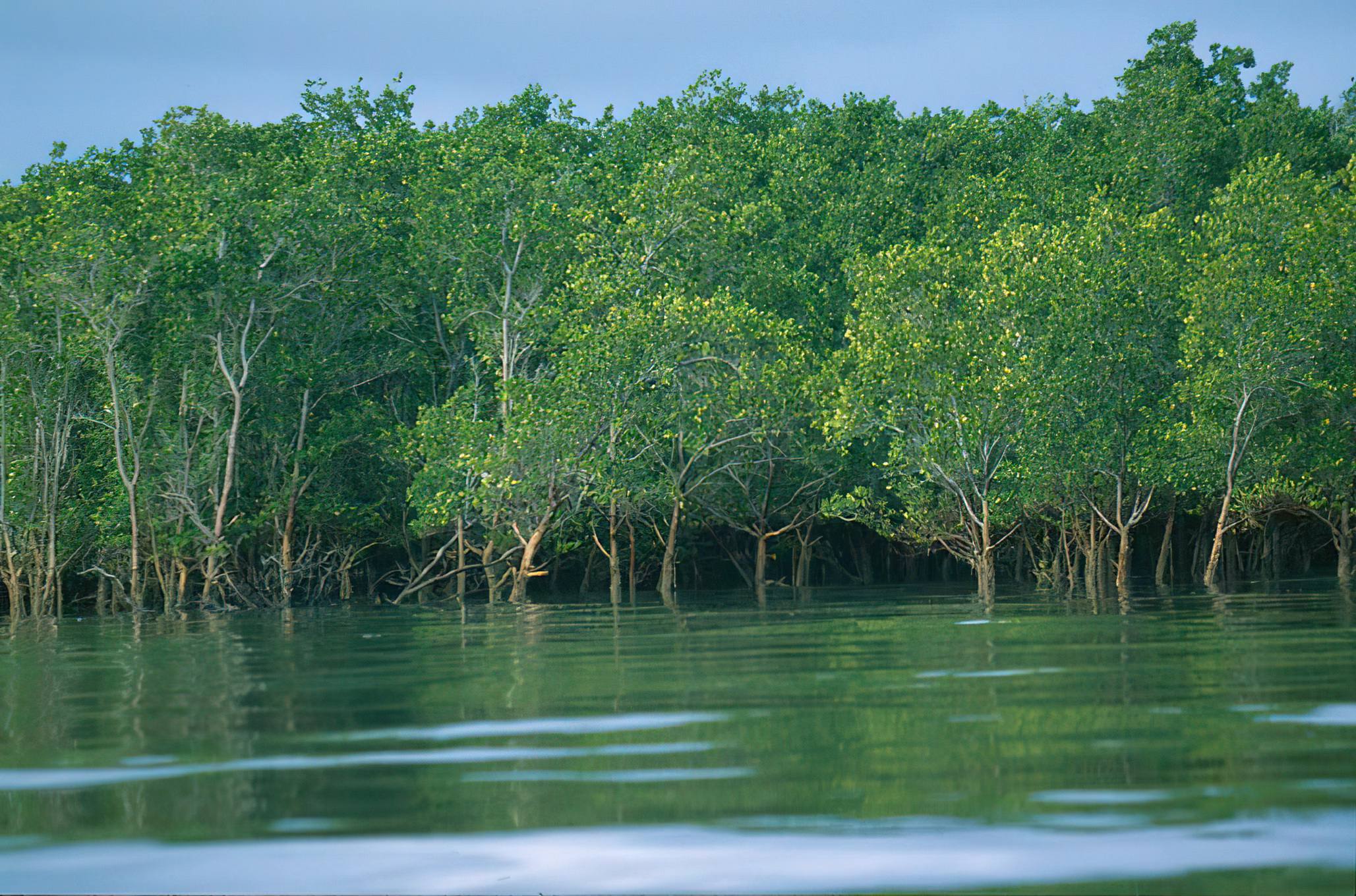 South Africa Wildlife Trip 2N 3D Travel Services