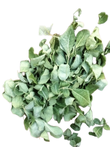 Moringa Leaf