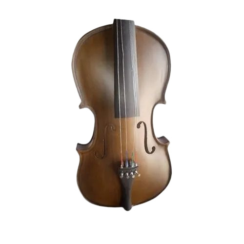 4 String Designer Violin