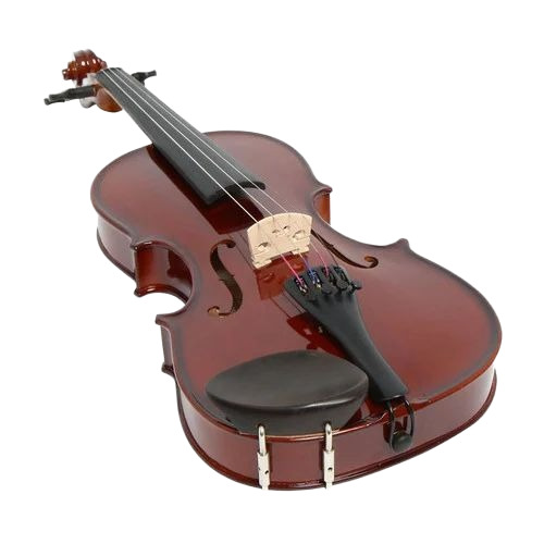 Acoustic Electric Violin