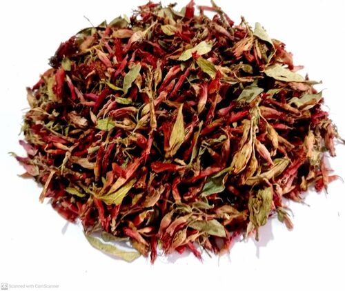Natural Dried Dhawai Flowers