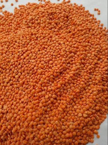 Polished Red Masoor Dal