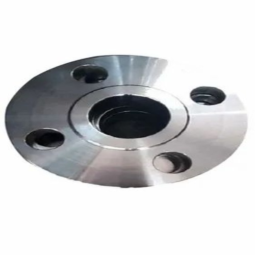 Ss 304 Flanges