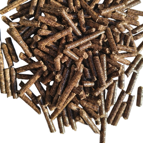 Wood Biomass Pellet