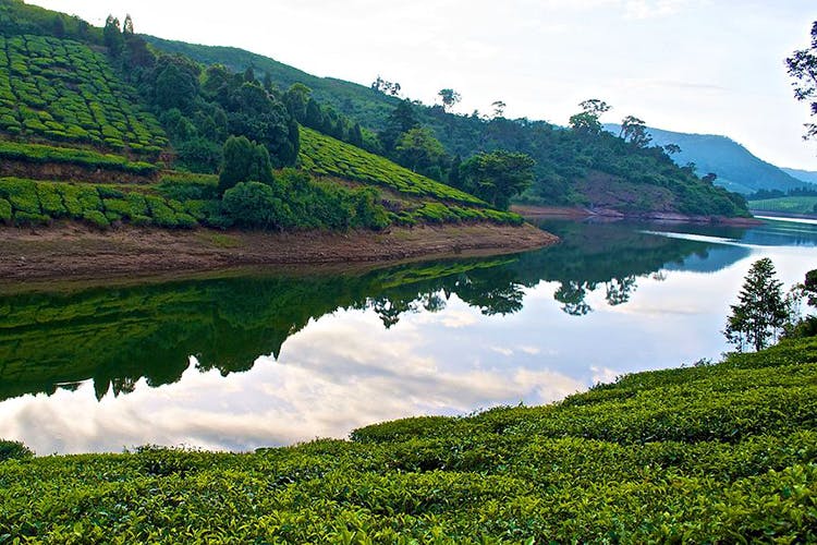 Chennai Megamalai Thekkady Ramakkalmedu 5 Days 1 Country Travel Services