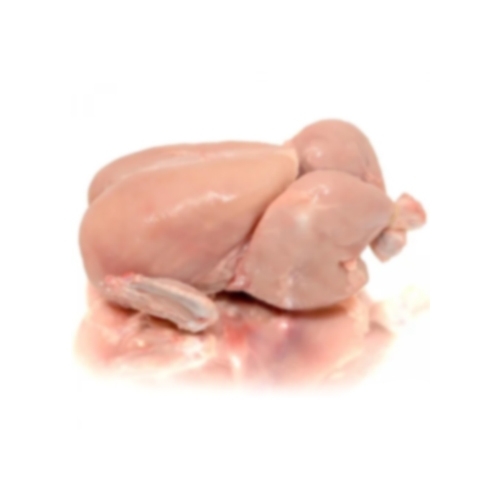 Fresh Chicken Wings Usage: Hotel & Restaurant