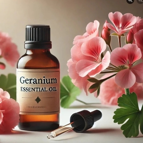 Geranium Essential Oil