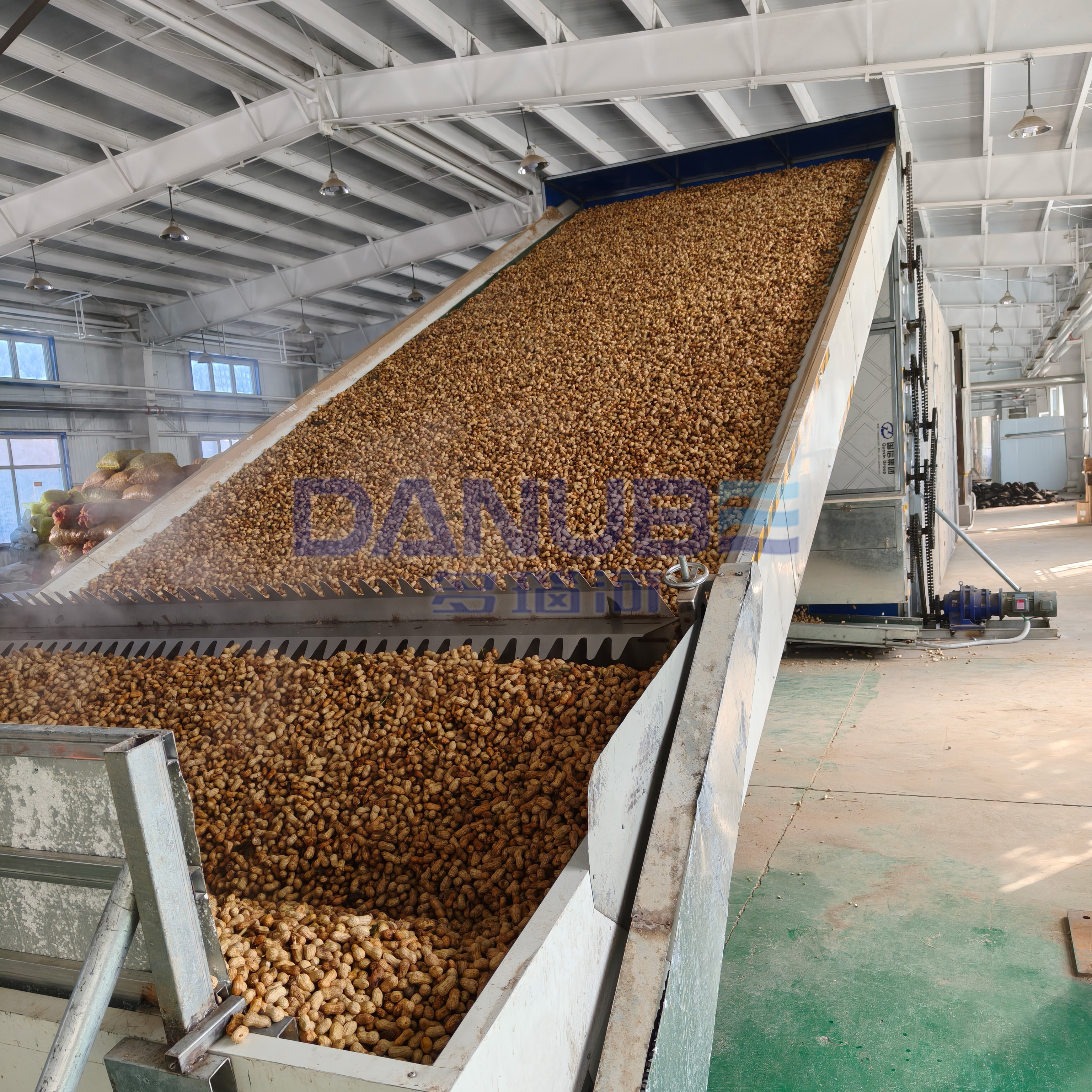 Mesh Belt Peanut Dryer Peanut Cleaning And Drying Processing Line Peanut  Dehydration Equipment - Dimension (l*w*h): 5.8*2.5*2.2 Meter (m) at Best  Price in Singapore | Danube Machinery Equipment (singapore) Pte. Ltd.