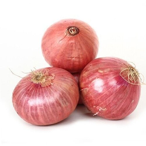 Raw Red Onion - Moisture (%): 1