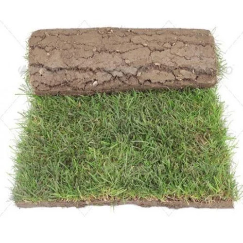 10mm Natural Lawn Grass Carpet