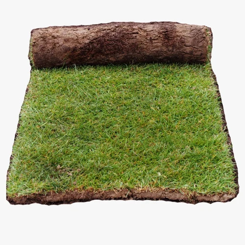 12Mm Natural Lawn Grass Carpet - Color: Green