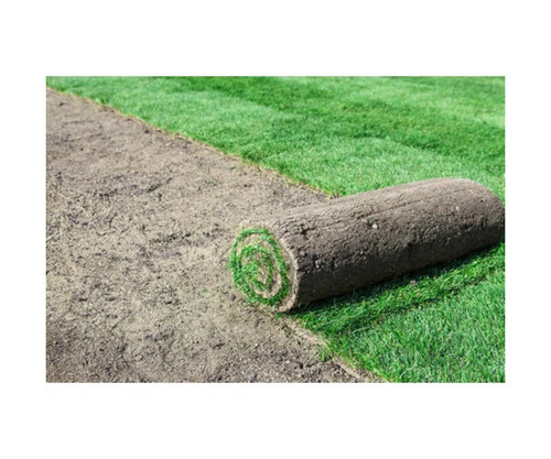 14mm Natural Lawn Grass Carpet