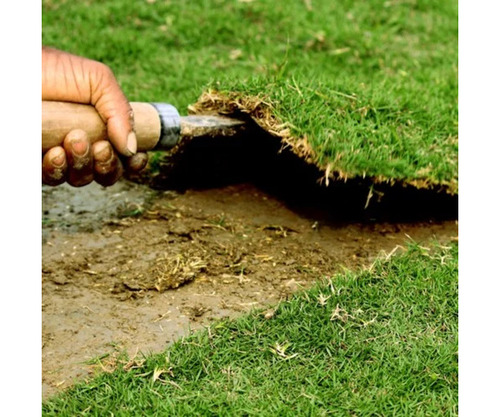 2mm Natural Lawn Grass Carpet