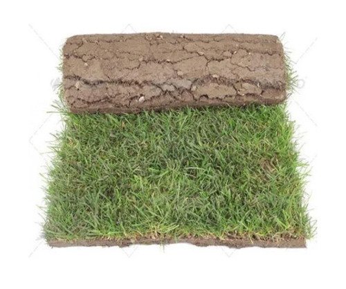 8mm Natural Lawn Grass Carpet