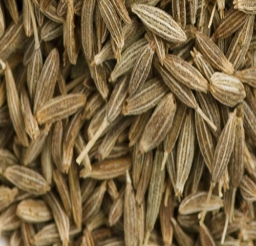 Oleoresin Cumin Seed