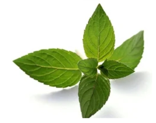 Pepper Mint Flavor